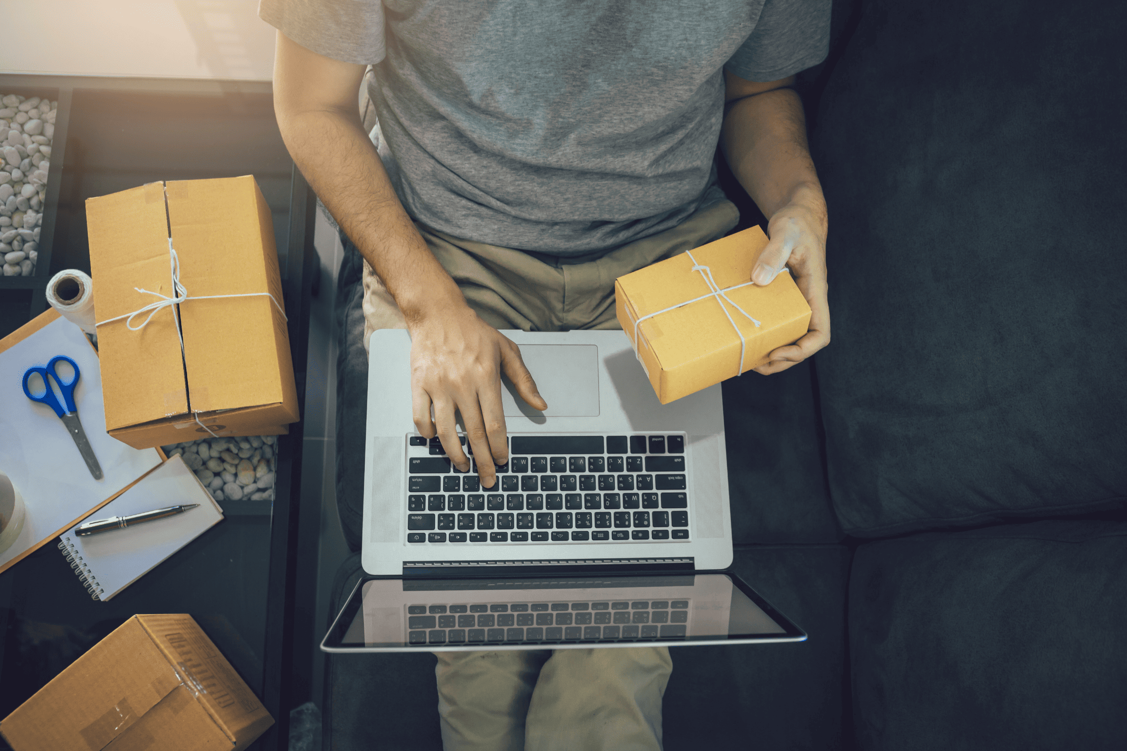 Sales Channel Expansion PC Banner - TSAIIANN