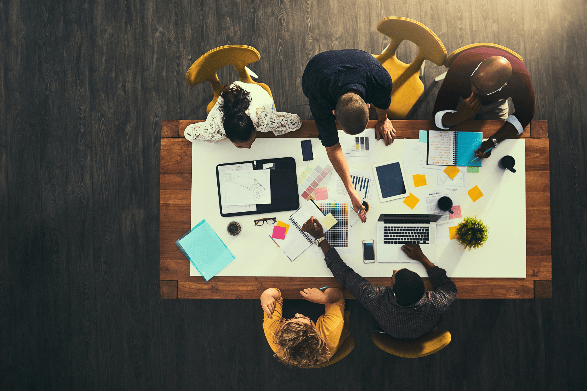 Business and Operations Banner - TSAIIANN